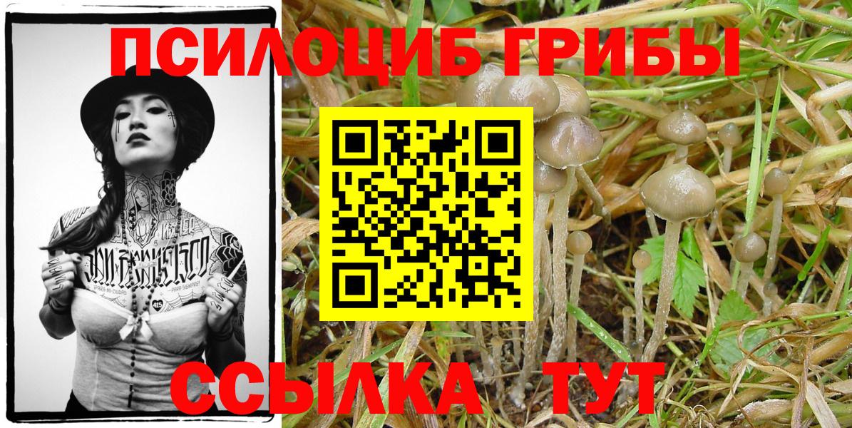 Псилоцибиновые грибы Psilocybine cubensis  Вход с VPN  Миллерово 